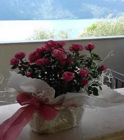 拉塔纳迪塞巴斯蒂安旅馆 招待所 马罗内